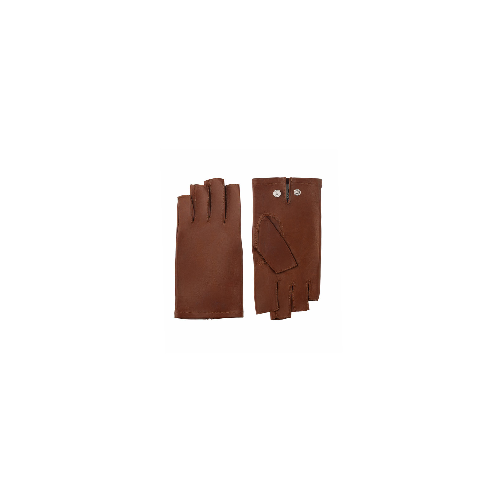 SADDLE BROWN