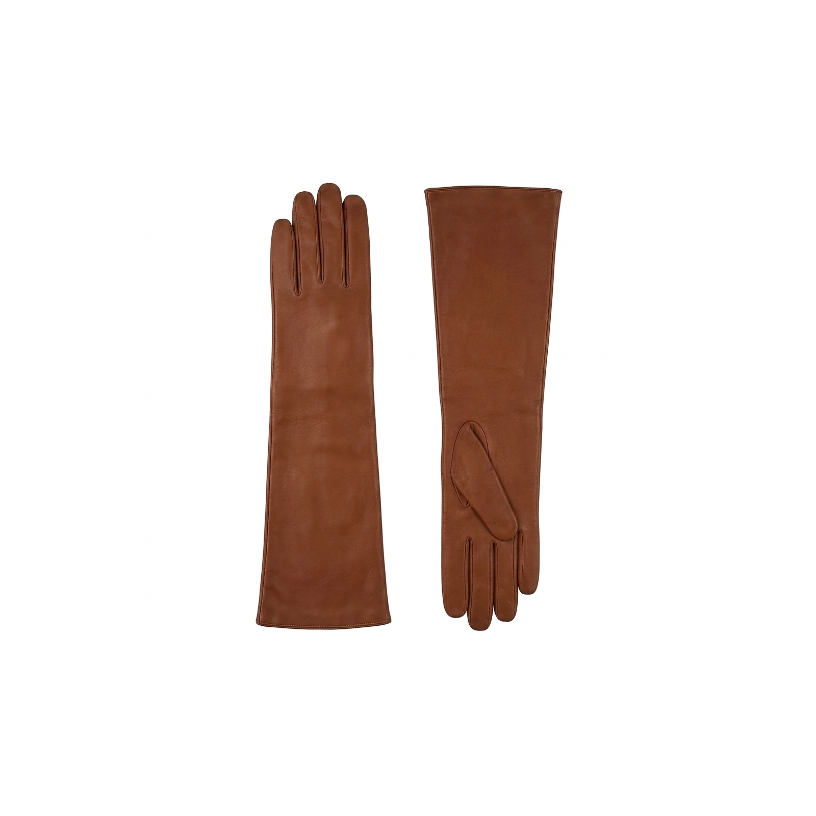 SADDLE BROWN