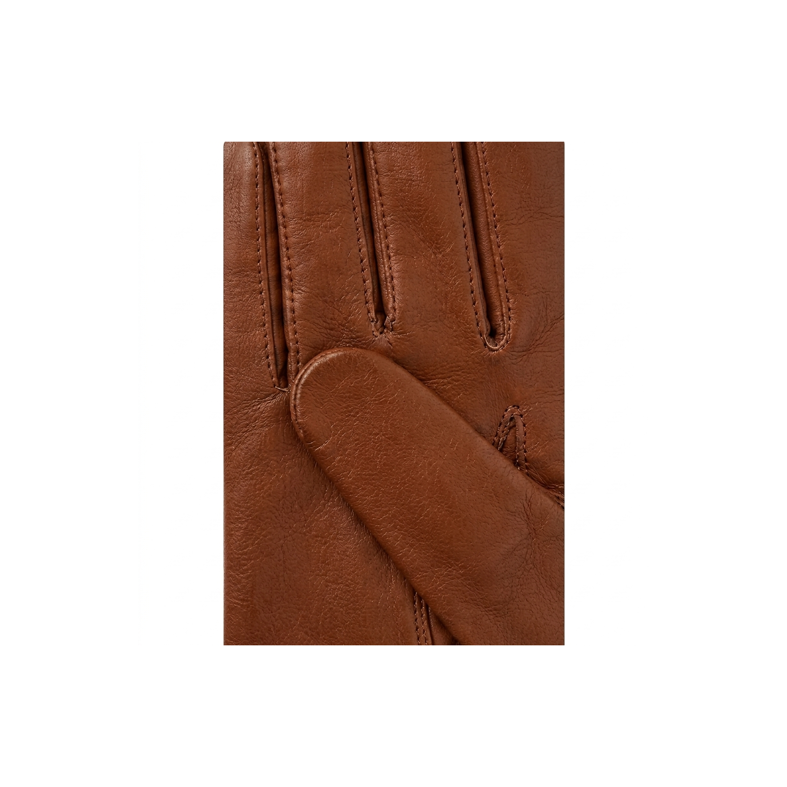 SADDLE BROWN