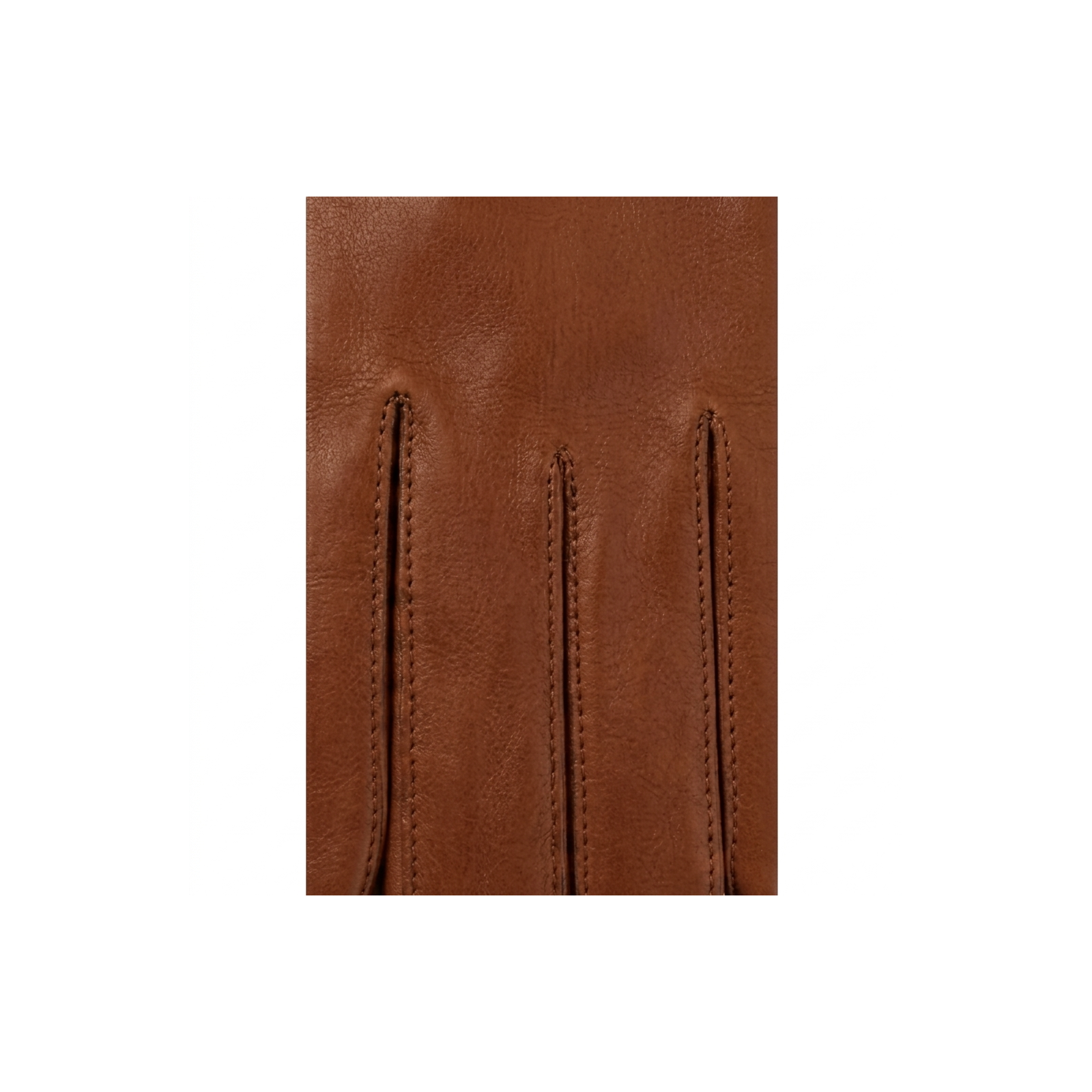 SADDLE BROWN