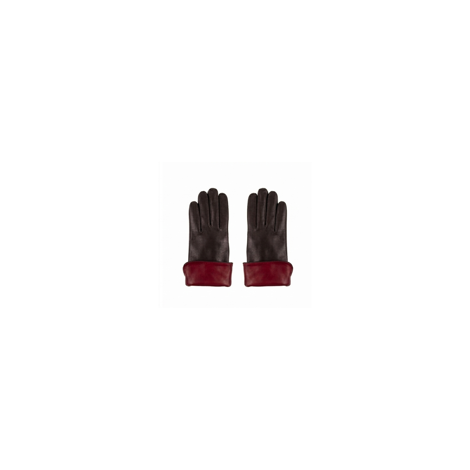 F 338 Y DS